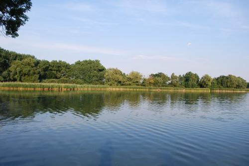 Kosořický rybník